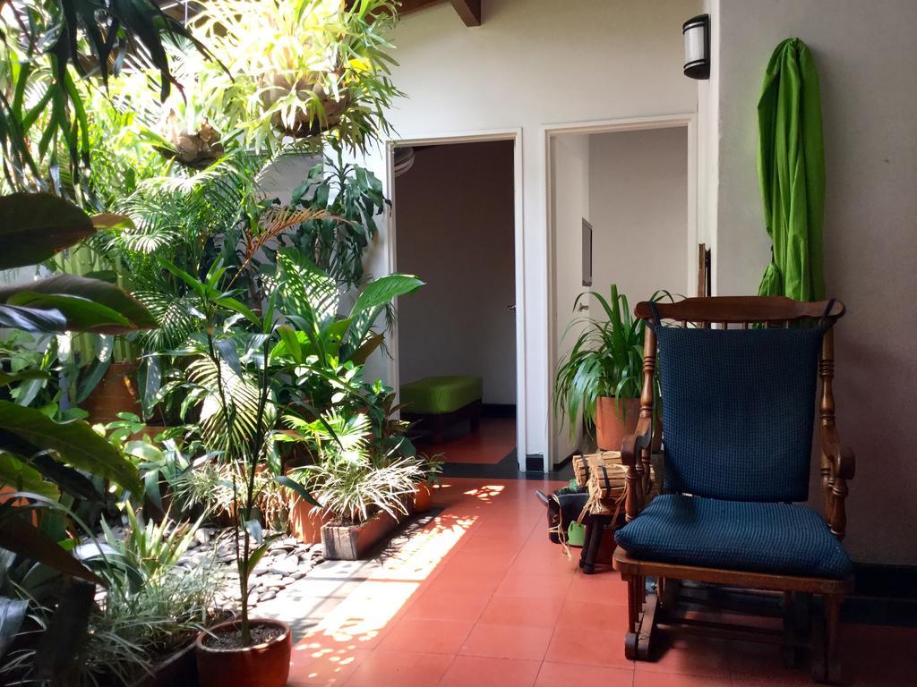 Saman Hostel Medellín Exterior foto