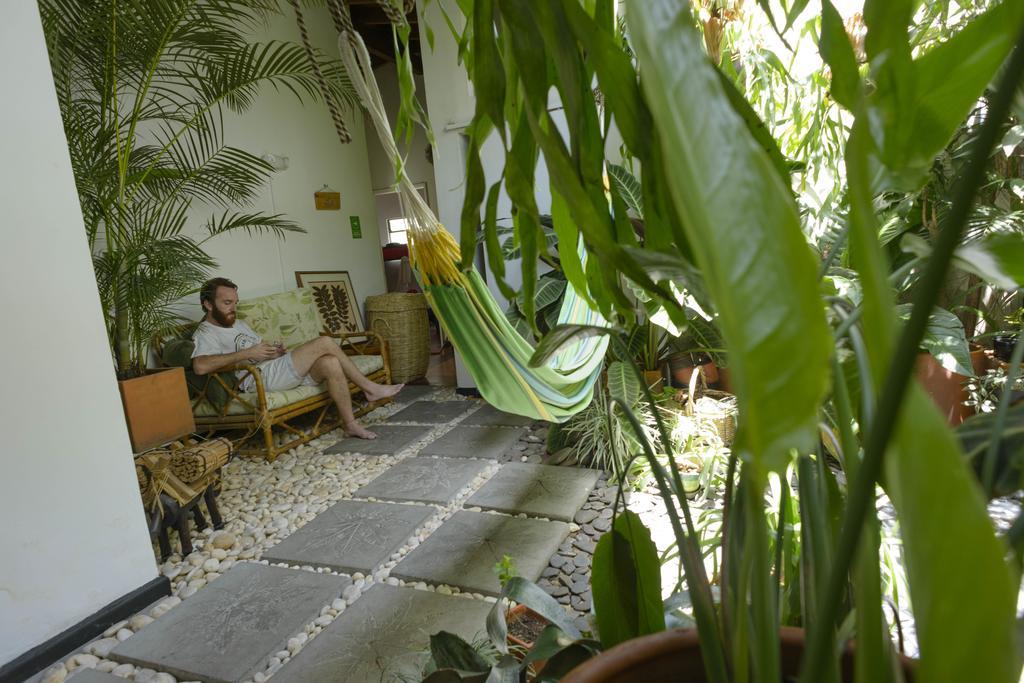 Saman Hostel Medellín Exterior foto